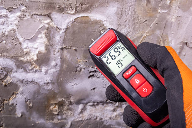 Best Office Mold Removal Services  in Stevenson, WA