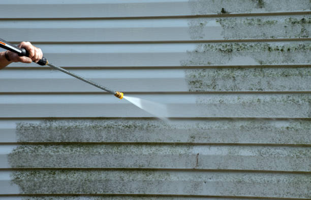 Best Office Mold Removal Services  in Stevenson, WA